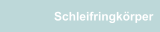 Schleifringkörper