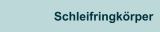 Schleifringkörper